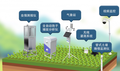 智慧農業創新方案，賦能農業現代化轉型新征程
